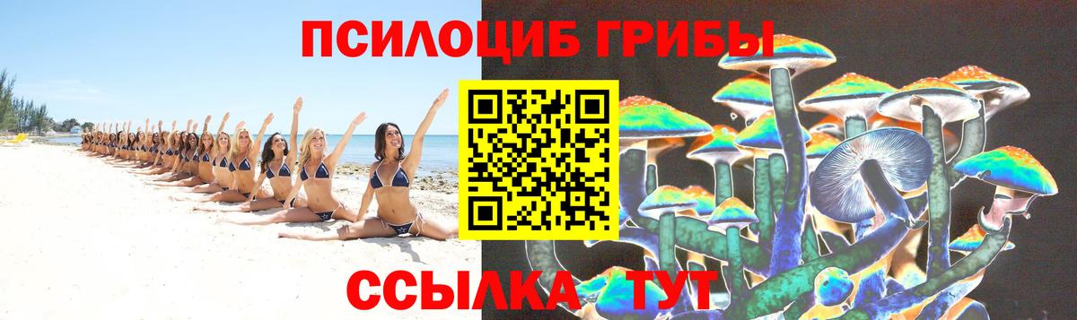 купить   Галлюциногенные грибы MAGIC MUSHROOMS  Вход с VPN  Кувандык 